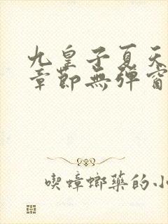 九皇子夏天最新章节无弹窗笔趣阁