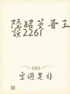 陆昭菱晋王的小说2261