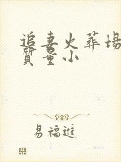 追妻火葬场的高质量小