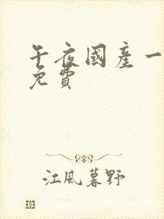 午夜国产一级片免费