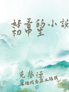 好看的小说适合初中生