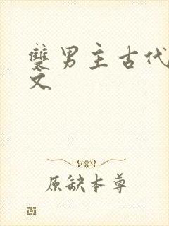 双男主古代生子文