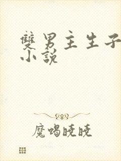 双男主生子高h小说