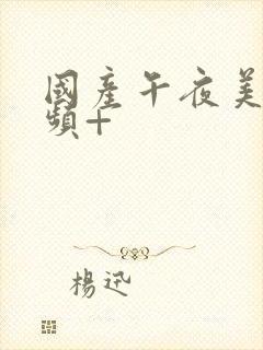 国产午夜美女视频+