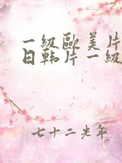 一级欧美片一级日韩片一级国产片