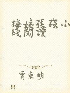 梅姨张强小说在线阅读