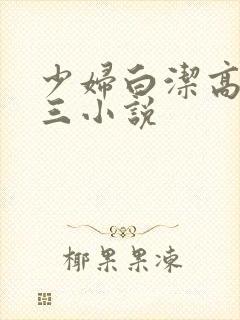 少妇白洁高义陈三小说