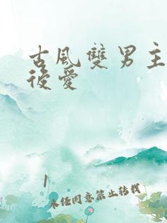 古风双男主先婚后爱