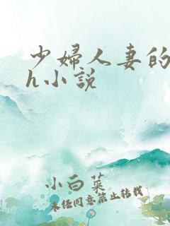 少妇人妻的欲望h小说