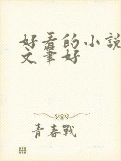好看的小说推荐文笔好