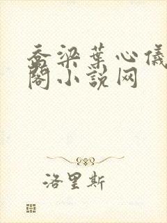 乔梁叶心仪笔趣阁小说网