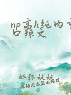 np高h纯肉重口辣文