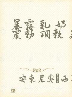 暴露 乳 奶 震动 调教 夹小说