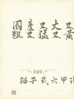 国产又大又长又粗又猛又黄的视频