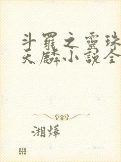 斗罗之灵珠神剑天麟小说全文免费阅读下载