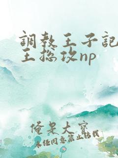 调教王子记【网王总攻np