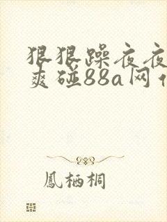 狠狠躁夜夜躁人爽碰88a网站