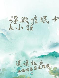 淫欲催眠少妇高h小说