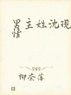 男主姓沈现代言情