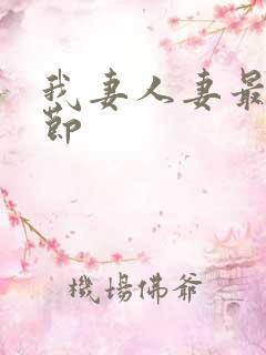 我妻人妻最新章节