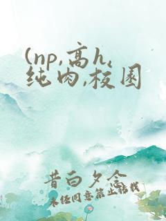 (np,高h,纯肉,校园