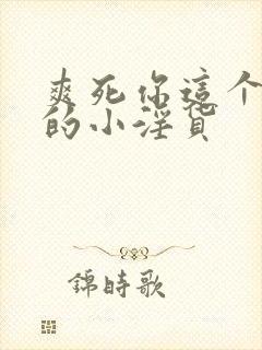 爽死你这个放荡的小淫货