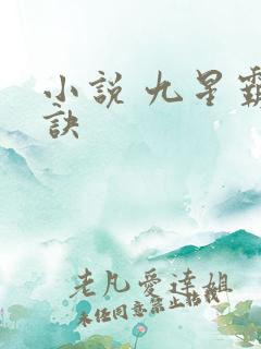 小说 九星霸体诀