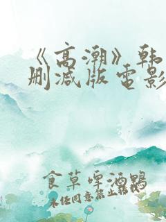 《高潮》韩国未删减版电影