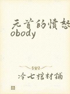 元首的愤怒之nobody