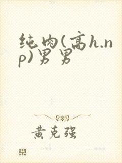 纯肉(高h.np)男男