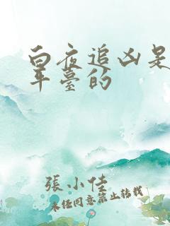 白夜追凶是哪个平台的