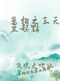 万相之王天蚕土豆起点