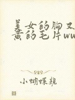 美女的胸又大又黄的毛片www