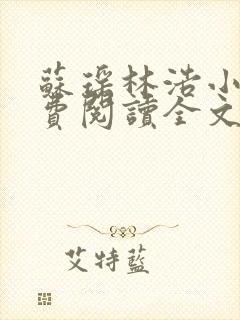 苏瑶林浩小说免费阅读全文最新章节