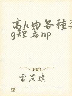 高h肉各种姿势g短篇np