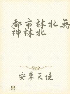 都市林北无敌战神林北