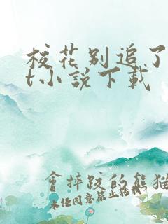 校花别追了txt小说下载