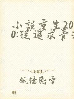 小说重生2000:从追求青涩校花同桌开始全文