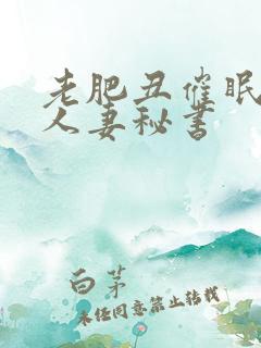 老肥丑催眠双性人妻秘书