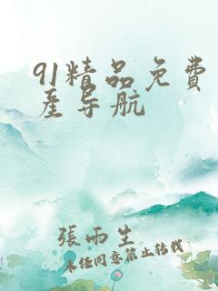 91精品免费国产导航