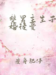 双男主生子文先婚后爱