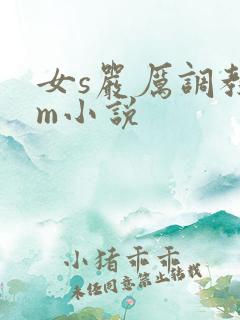 女s严厉调教男m小说