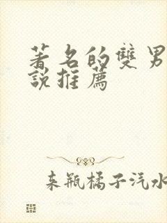 著名的双男主小说推荐