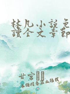 林凡小说免费阅读全文章节