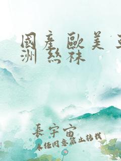 国产 欧美 亚洲 丝袜