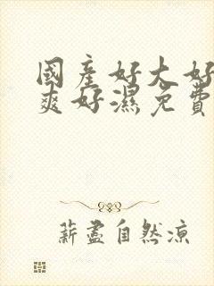 国产好大好硬好爽好湿免费视频