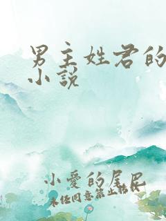 男主姓君的现代小说