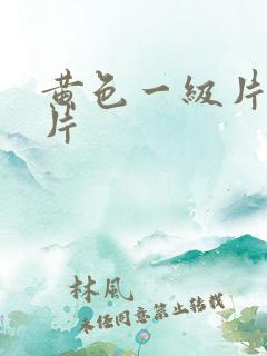 黄色一级片二级片