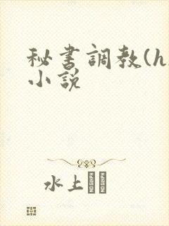 秘书调教(h)小说