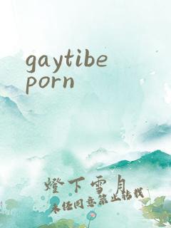 gaytibeporn